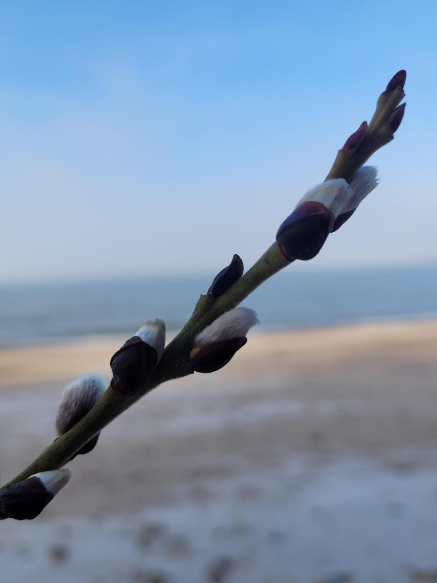 Golden Sand Łukęcin Zewnętrze zdjęcie